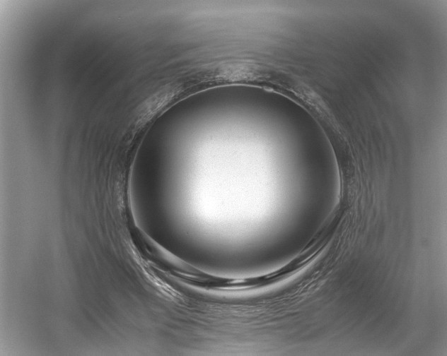 X0000059050393200510101017