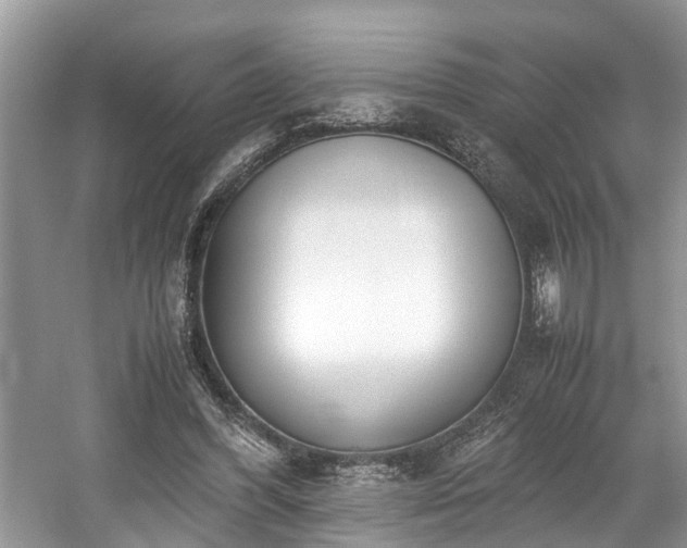 X0000059050396200510101017