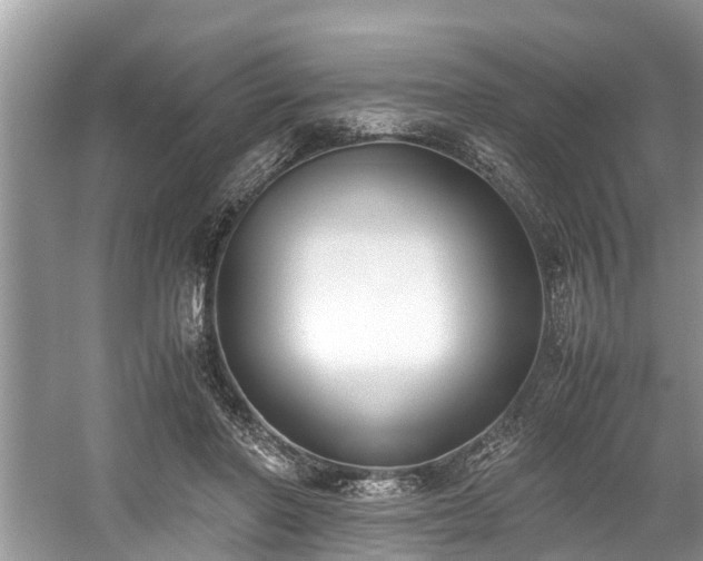 X0000059050406200510101017