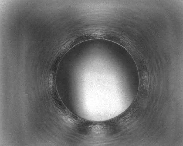 X0000059050412200510101017
