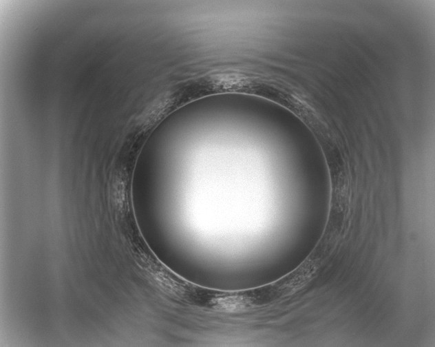 X0000059050417200510101017