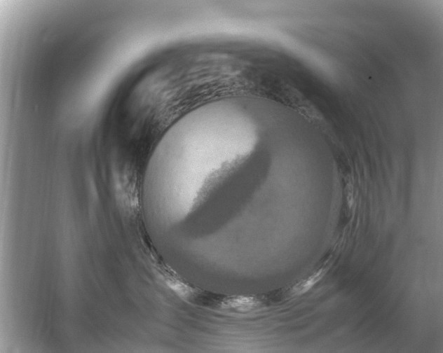 X0000059050431200510101017