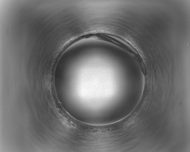 X0000059050434200510101016