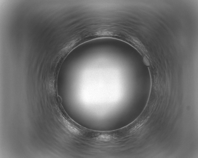 X0000059050441200510101016