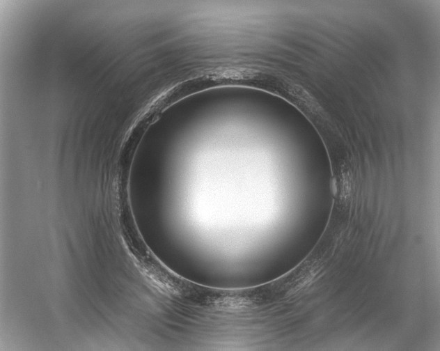 X0000059050444200510101016