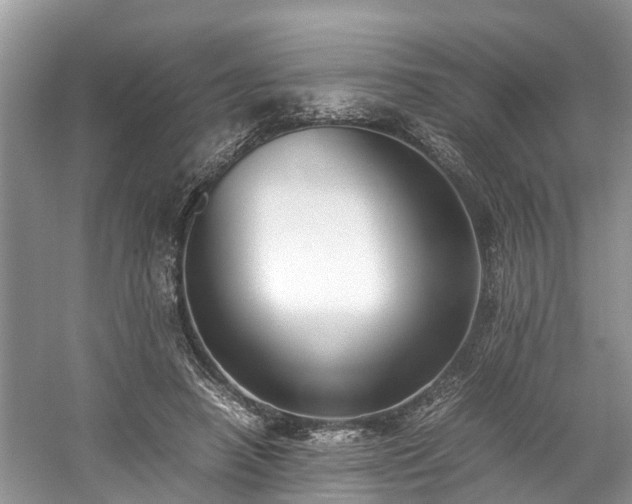 X0000059050450200510101016