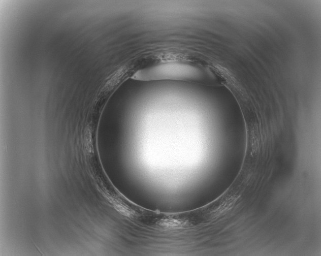 X0000059050453200510101016