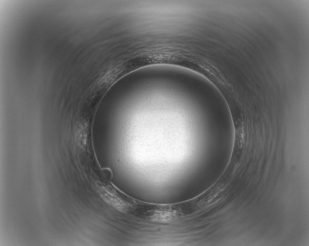 X0000059050458200510101016