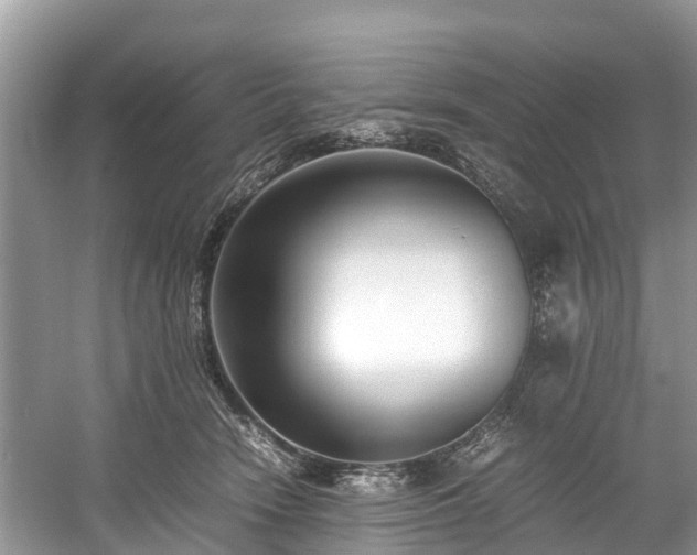 X0000059050466200510101016