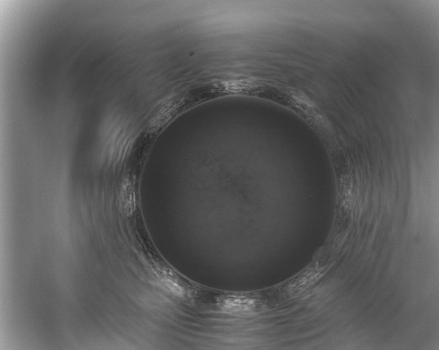 X0000059050471200510101016