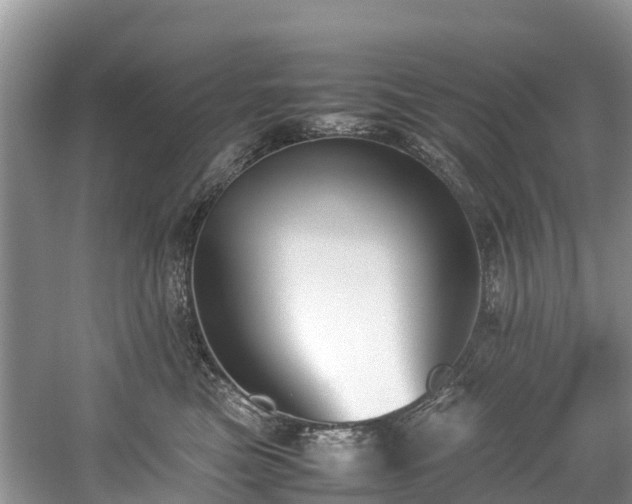 X0000059050473200510101016
