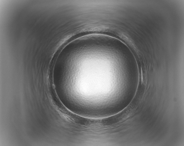 X0000059050483200510101016