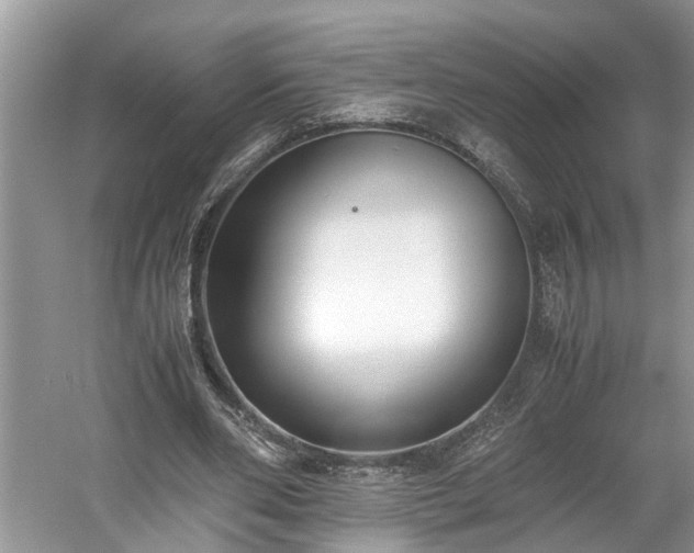 X0000059050486200510101016