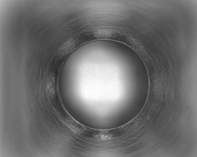 X0000059050498200510101015