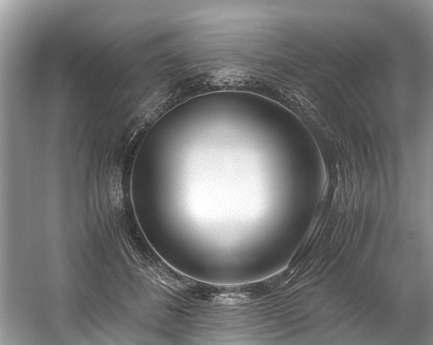 X0000059050508200510101015