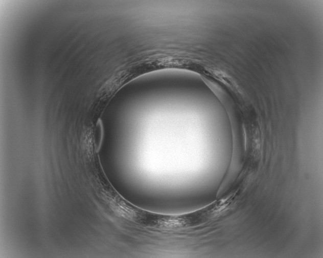 X0000059050513200510101015