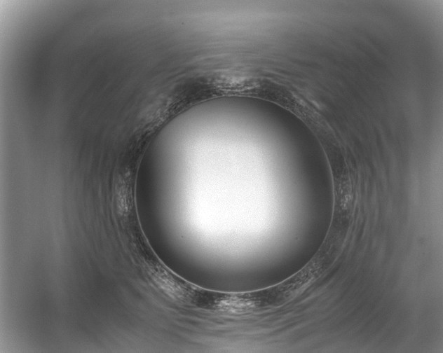 X0000059050515200510101015