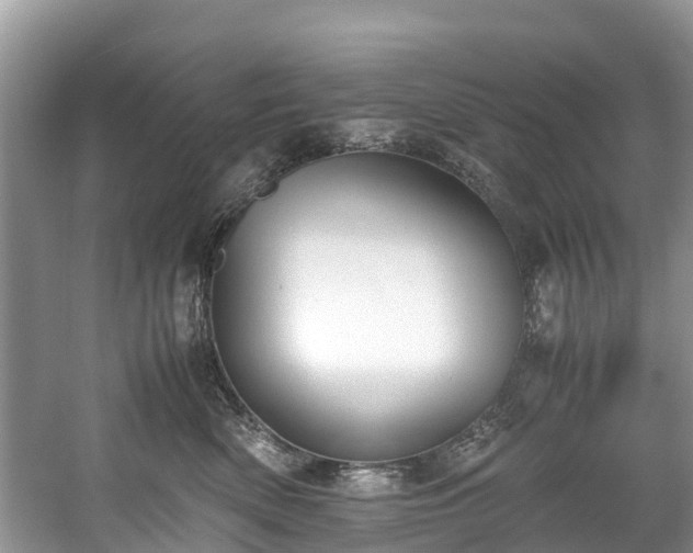 X0000059050522200510101015