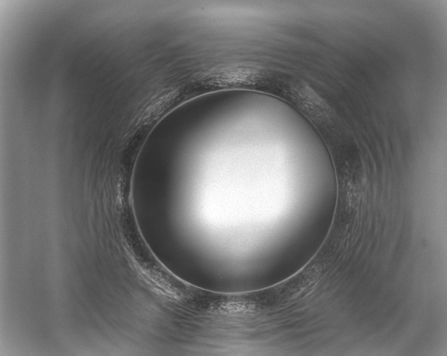 X0000059050546200510101014