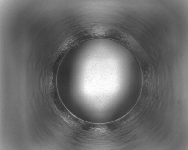 X0000059050548200510101014