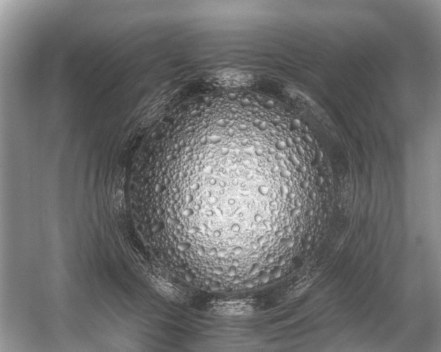 X0000059050553200510101014
