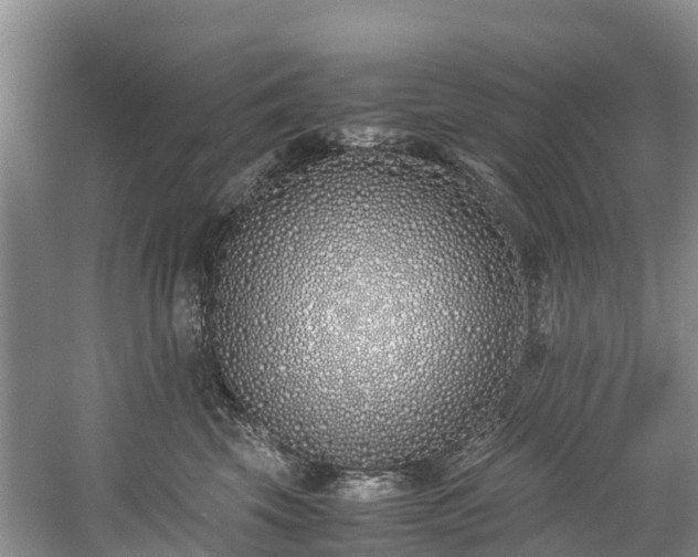 X0000059050569200510101015