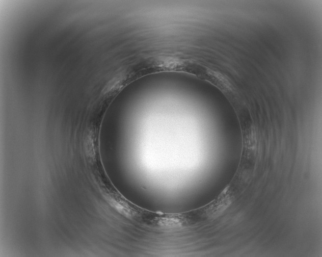 X0000059050572200510101015