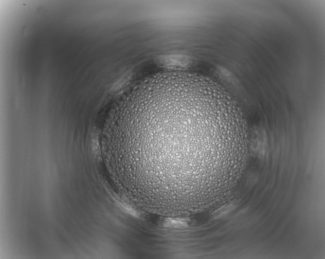 X0000059050573200510101015