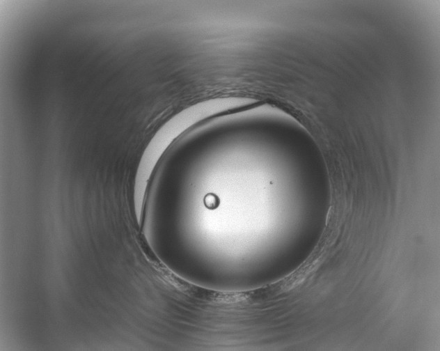 X0000059050576200510101015