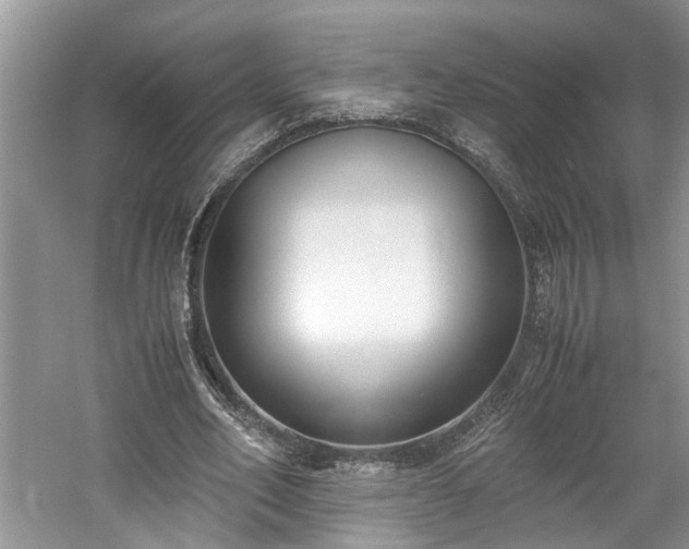 X0000059050582200510101014