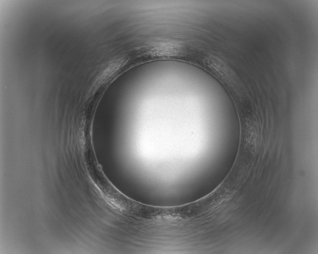 X0000059050586200510101014