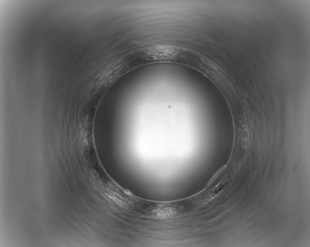 X0000059050604200510101014