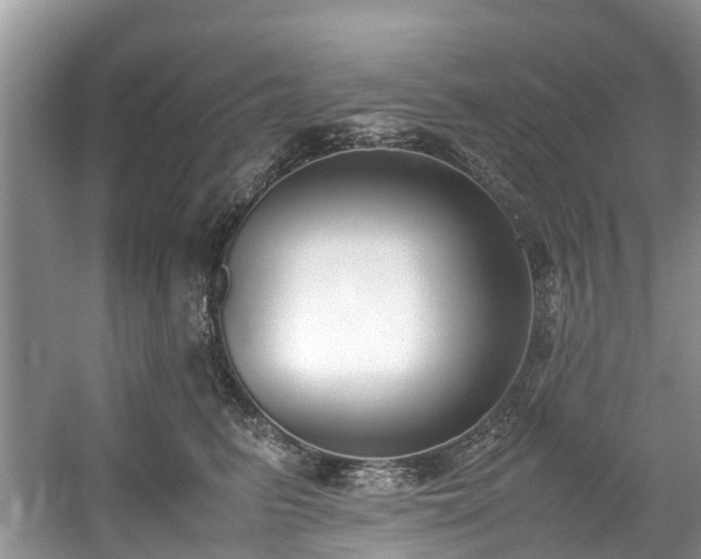 X0000059050615200510101013