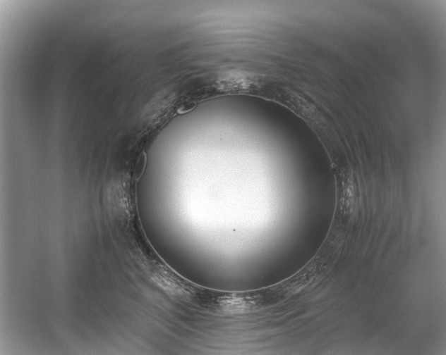 X0000059050616200510101013