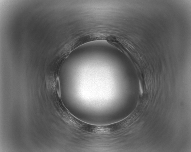 X0000059050617200510101013
