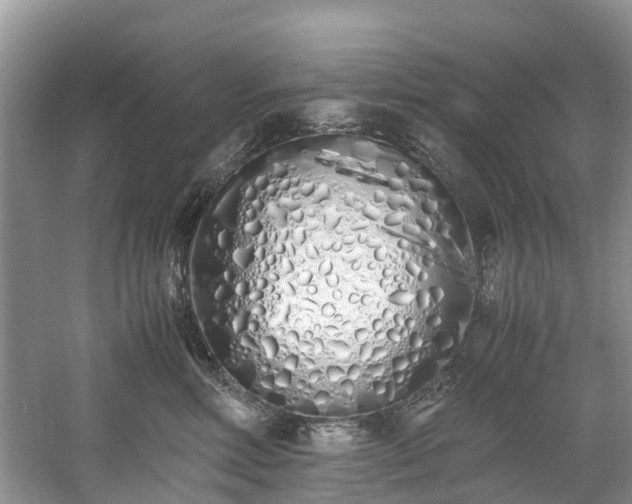 X0000059050618200510101013