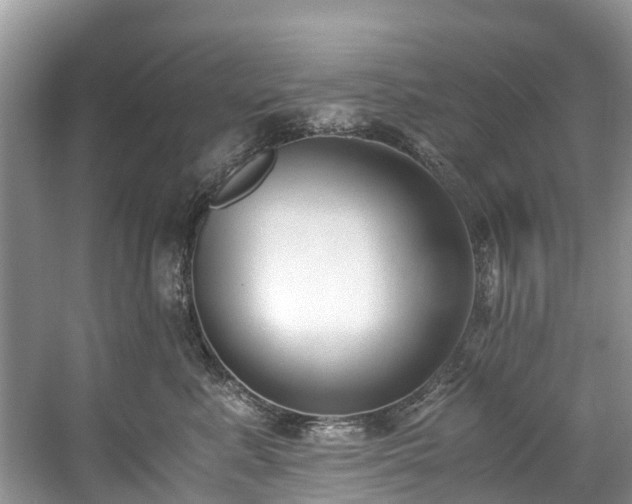 X0000059050619200510101013
