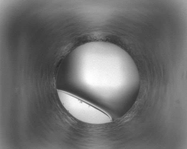 X0000059050624200510101013