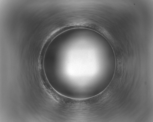 X0000059050628200510101012