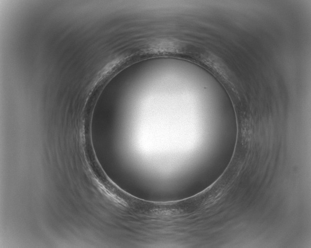 X0000059050629200510101013