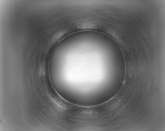 X0000059050631200510101013