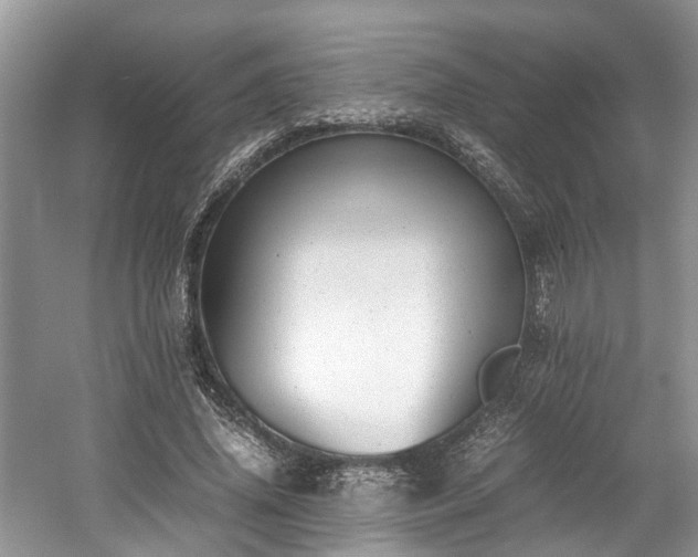 X0000059050636200510101013