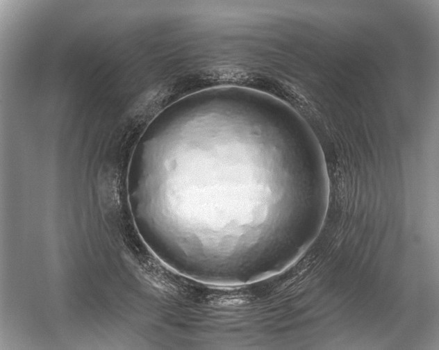 X0000059050643200510101013