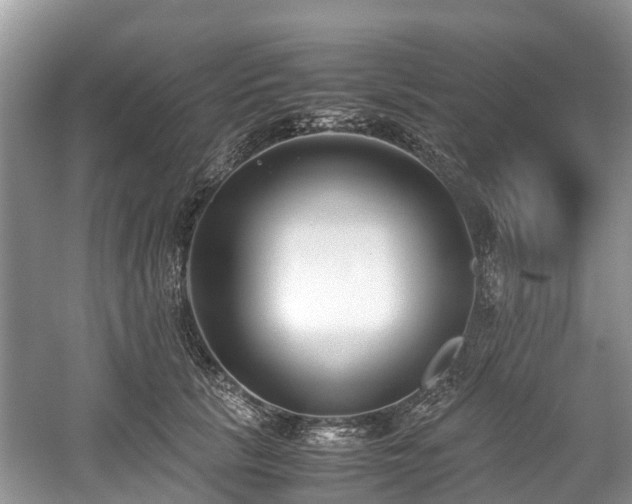 X0000059050657200510101013