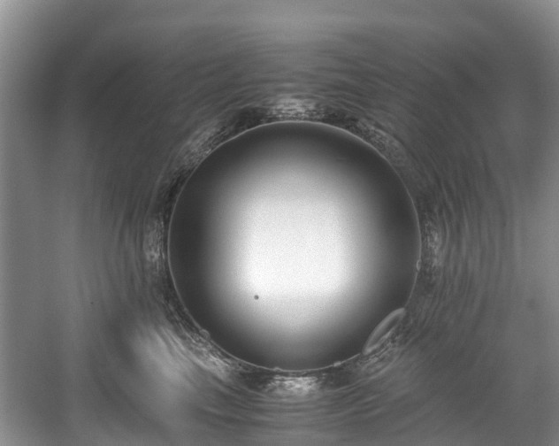 X0000059050665200510101013