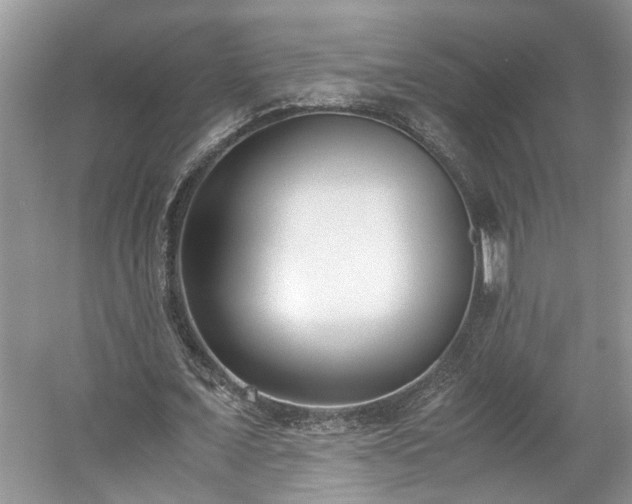 X0000059050675200510101012