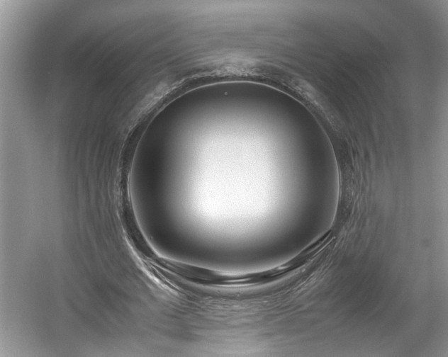 X0000059050677200510101012