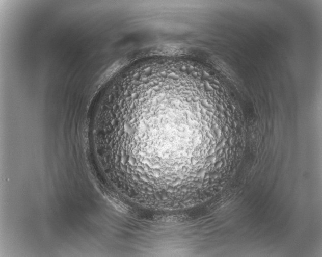 X0000059050679200510101012