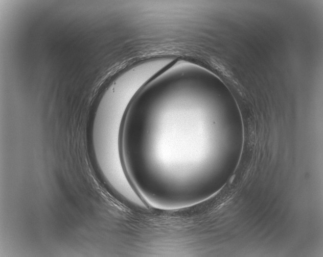 X0000059050681200510101012