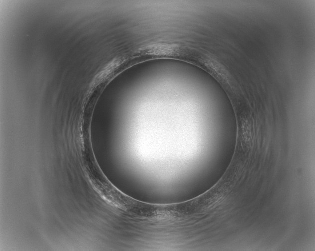X0000059050682200510101012
